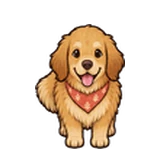 Kailani, a golden retriever