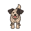 Sora, a spotted heeler